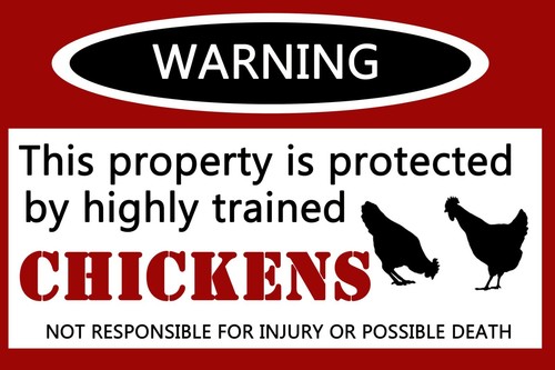 Warning chickens funny metal - chickens,