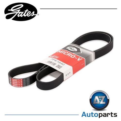 Rib ribbed belt 7pk1640 - v-ribbed,