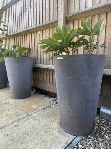 Grey concrete effect - grey,