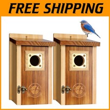 Bluebird Swallow Chickadee