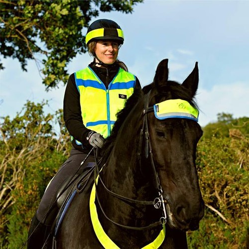 Equisafety multi colour vis - hi,