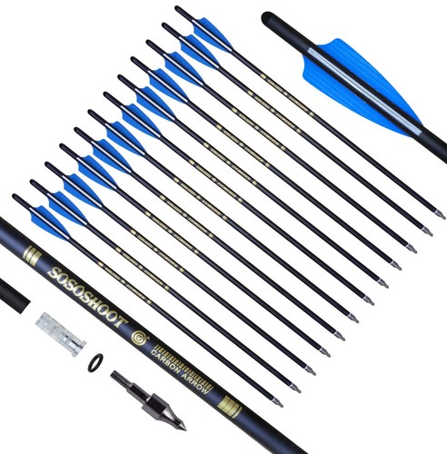 12pcs crossbow bolts - 20",