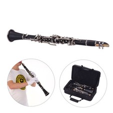  ABS 17- Clarinet Bb Flat with Carry   Cleaning Cloth V4Q2