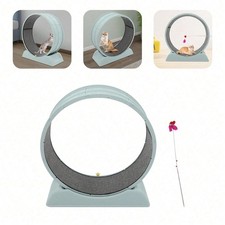 Blue Silent Cat Exercise Wheel