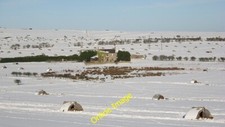 Photo 6x4 Pig arks, Bogend