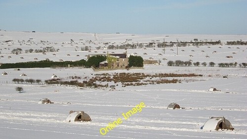 Photo 6x4 pig - pig, arks,