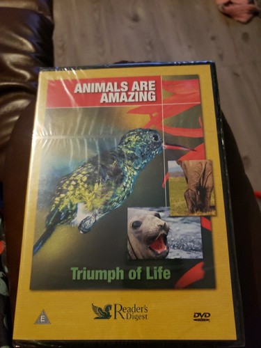 Animals are amazing triumph - are,