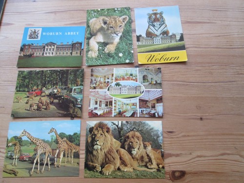 Postcards woburn safari - postcards,