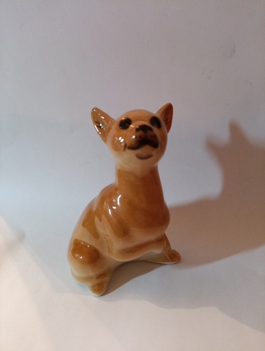 Chihuahua dog miniature - chihuahua,