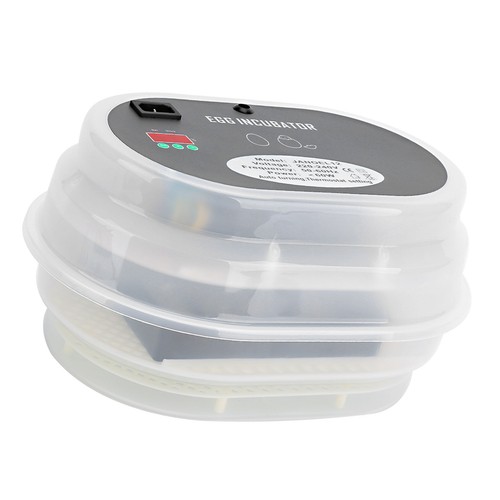 Automatic digital poultry 12 - *automatic,