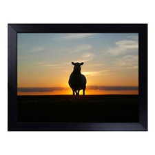 1 x Sunset And Sheep Lap Tray