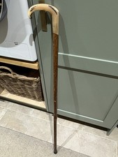 Walking Stick/Cane with Horn