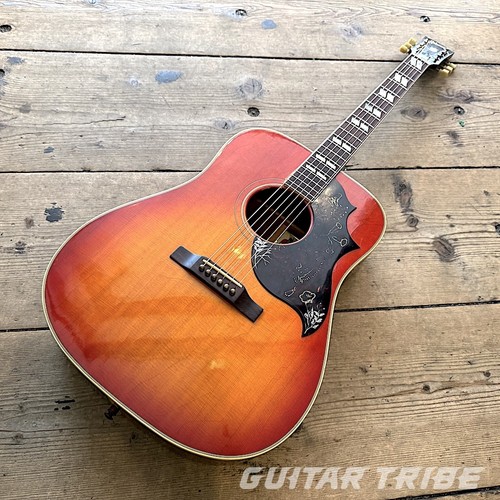 Gibson Hummingbird