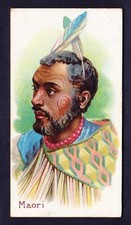 Taddy NATIVES OF THE WORLD