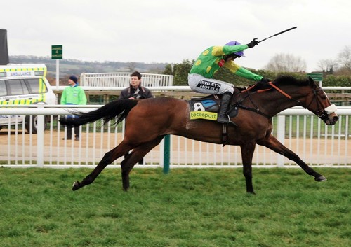 Kauto star race horse jump - star,