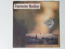 Tripmaster Monkey:  Shutters