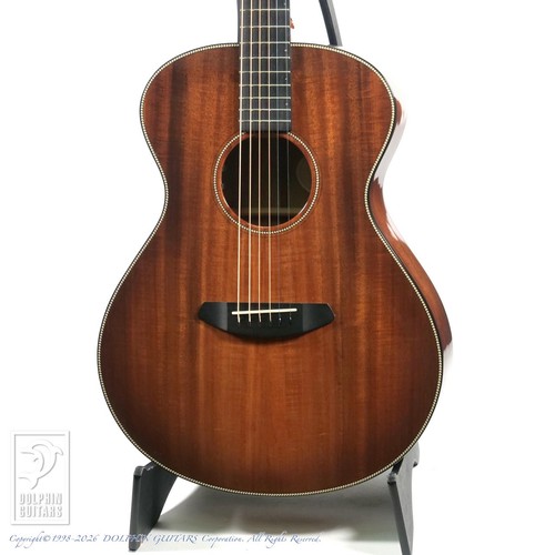 Breedlove florida concert - breedlove,