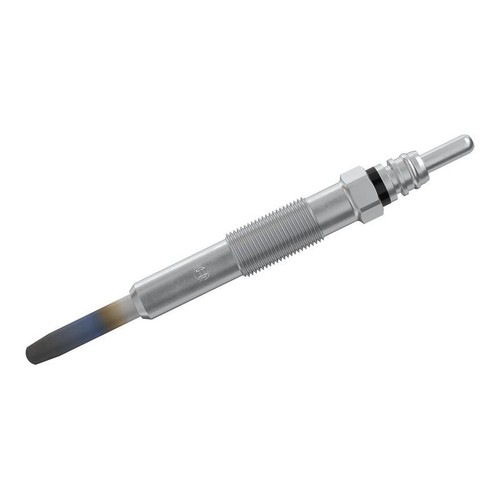 Bosch 250 202 129 glow - 250,