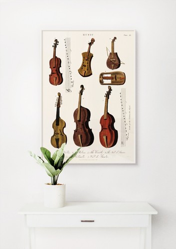 Collection antique - collection, of