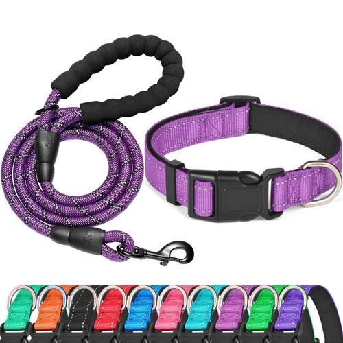 Dog collar lead - lead, set