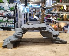 LARGE GECKO REPTILE LIZARD