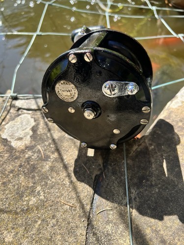 Taylor multiplier sea - taylor,
