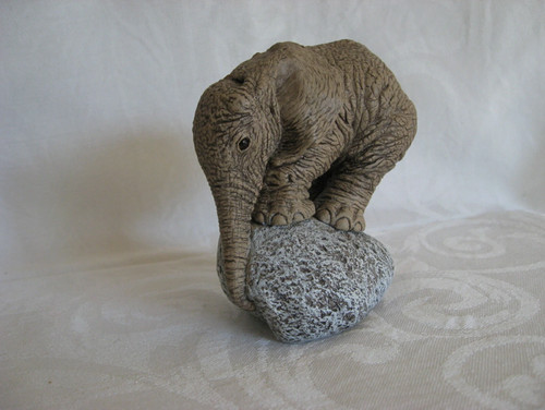 The herd baby elephant - baby,