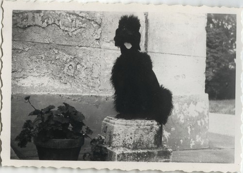 Antique photo vintage - -,