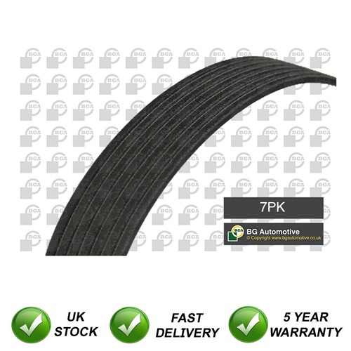 Ribbed drive belt - belt, sjr