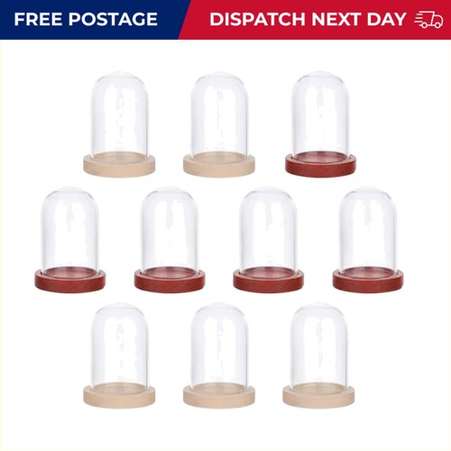 Durable mini glass dome - glass,