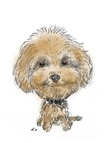 Personalised caricature - personalised, of