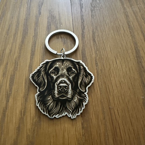 Flat coat retriever labrador - flat,