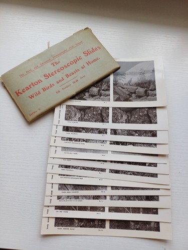 Antique kearton stereoscopic - antique,
