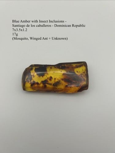 Blue amber polished - blue,