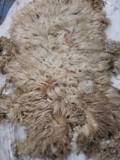 Wensleydale x Whitefaced Dartmoor fleeces raw and unwashed.
