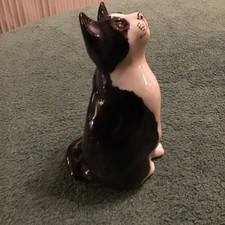 Winstanley cat size 2 black +