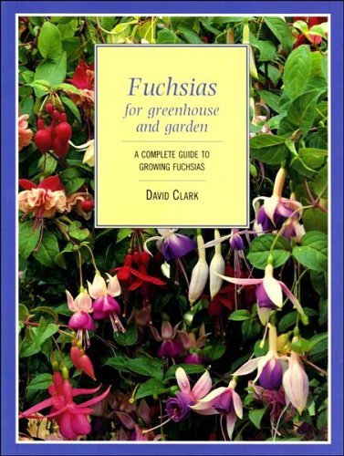 Fuchsias for greenhouse - fuchsias,