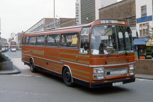 Midland fox leicester - fox,