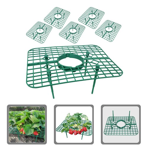 6pcs strawberry support frames - 6pcs,