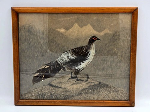 Antique framed feather craft - antique,
