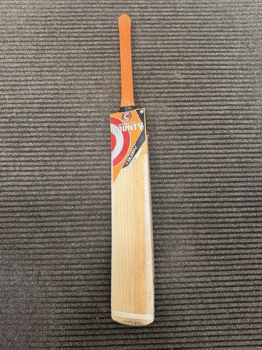 Hunts county adult bat - sh,