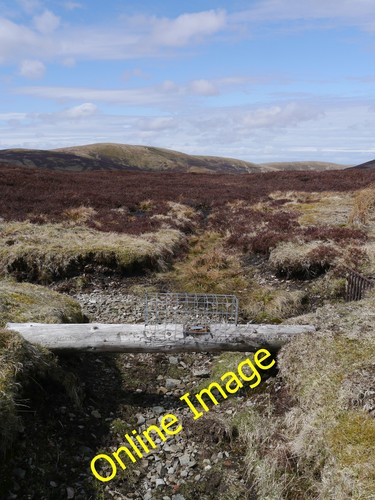 Photo 6x4 land fenn - photo, traps