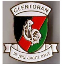 Pin (badge) Northern Ireland