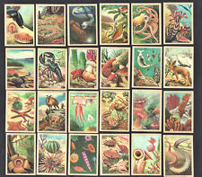 Marine Life & Evolution 24 Card Set 1960 Jacques Chocs Crab Lobster Sponge Fish
