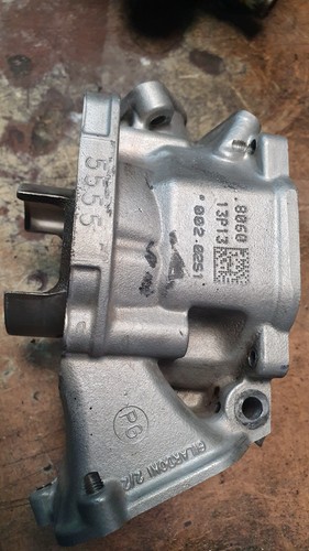 Rotax max senior - max, pg