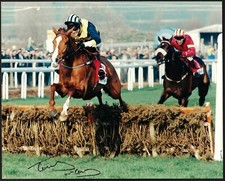 Autographed photo of horse