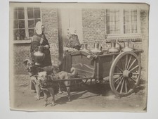 Dogs Milk Delivery Cart