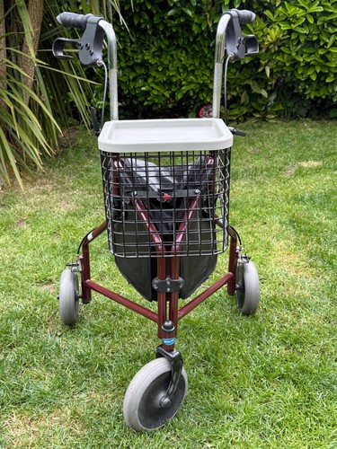 Wheeled mobility walker by - 3,