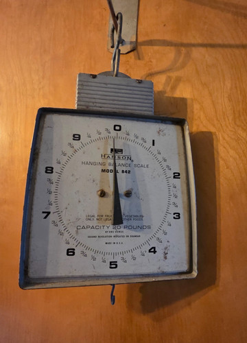 Vintage hanson hanging - hanging, scale