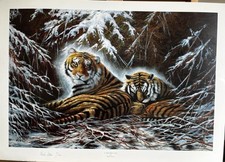 A Winters Nap By Mark Aston